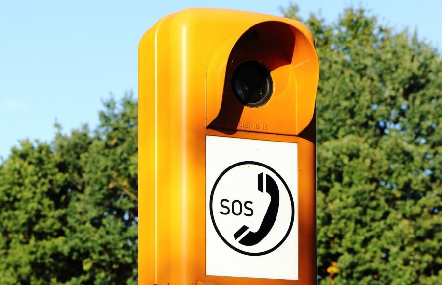 Detalle dunha imaxe de Golda [Pixabay]