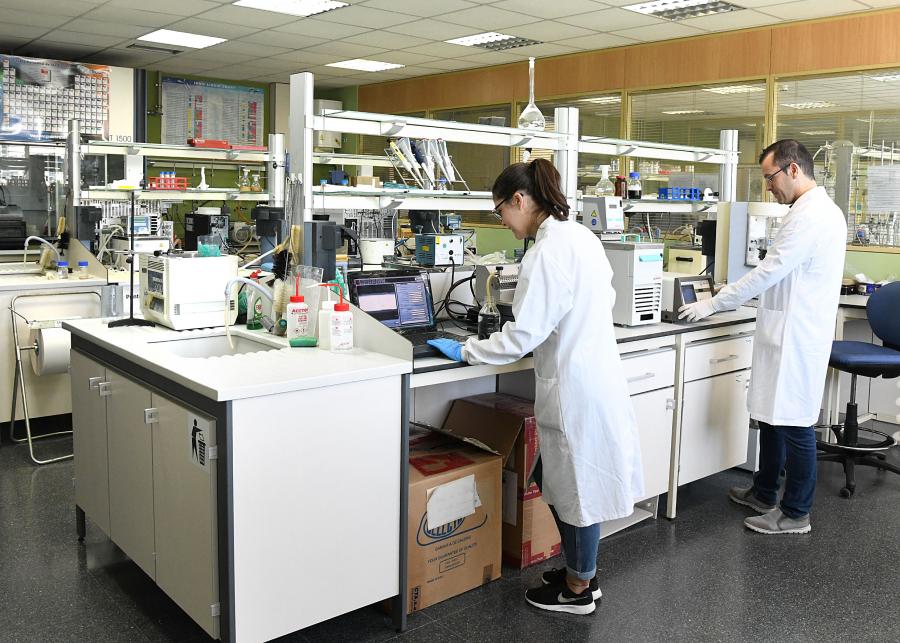 Estadías de investigación