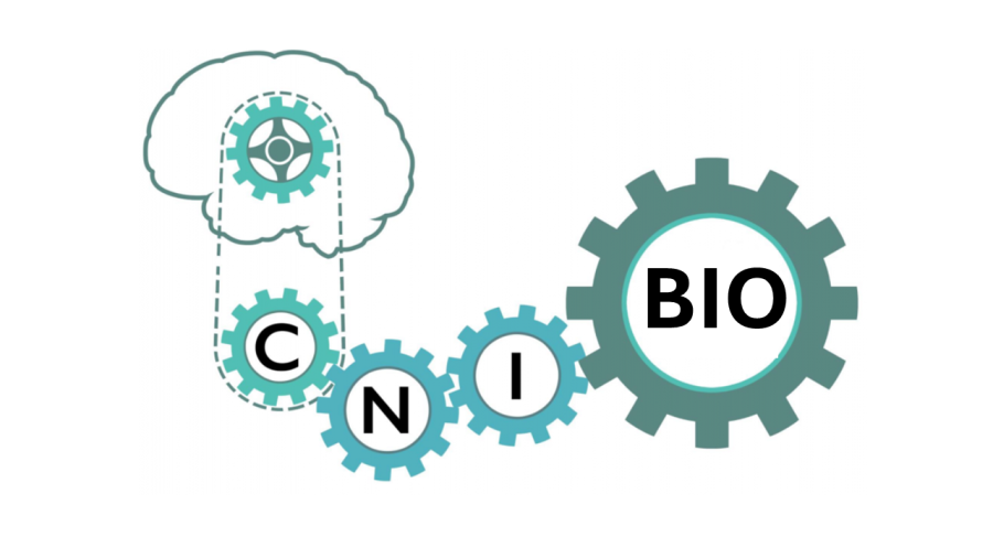 novas investigadoras