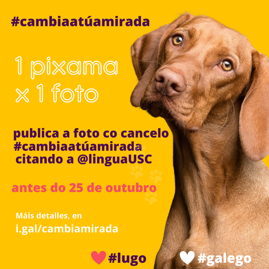 Concurso 1 pixama x 1 foto