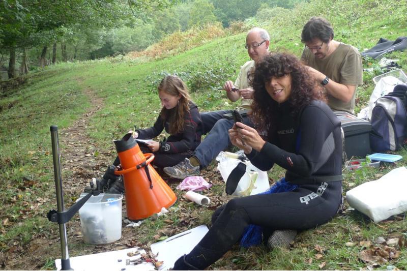 A USC implícase na recuperación do mexillón de río e da toupa de auga no Ulla