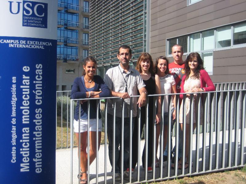 Descobren que un xene regulador da división celular contribúe a manter as células nai do cerebro