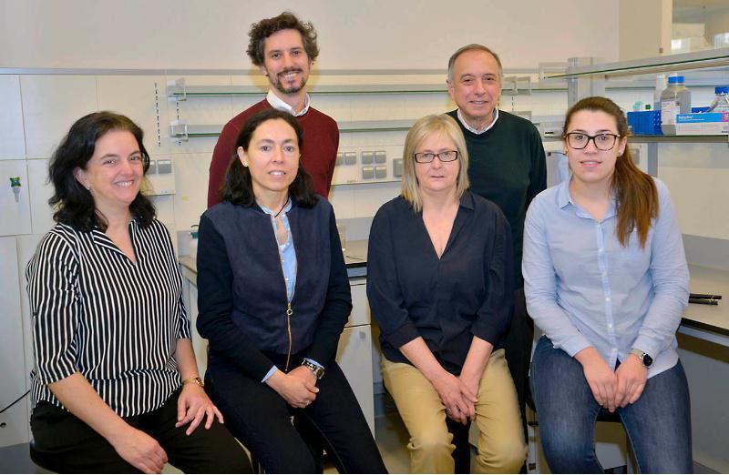 O Departamento de Enxeñaría Agroforestal e a spin-off HGBeyond Materials Science, galardoados polo Premios de Transferencia de Tecnoloxía en Galicia