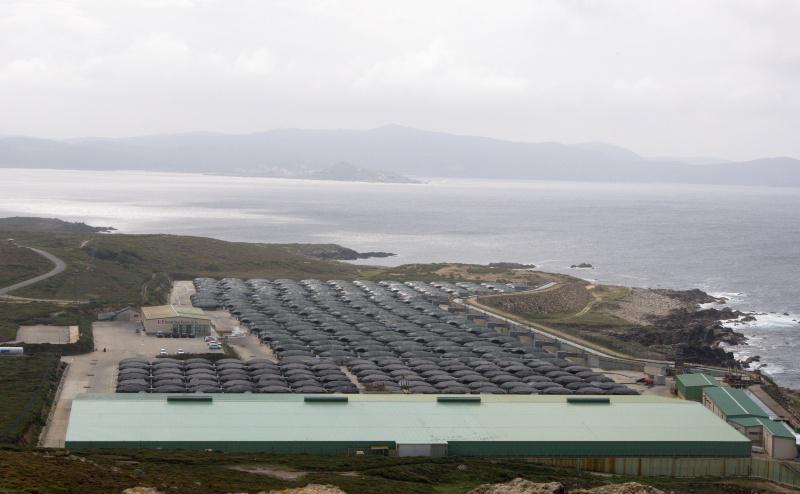 Especialistas europeos avalían a eficacia das axudas outorgadas á acuicultura europea 