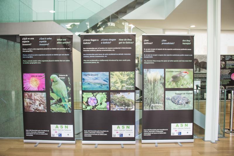 O Museo de Historia Natural incorpora expositores temporais sobre invasións biolóxicas