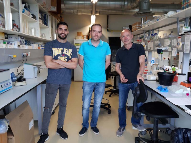 Describen un novo mecanismo que facilita a metástase no cancro de mama