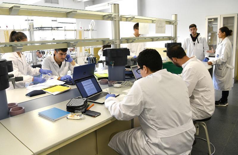 A USC, entre as universidades máis destacadas do mundo en Ciencias da Computación, Enxeñaría e Tecnoloxía 