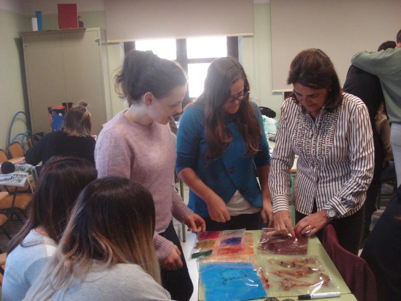 Formación do Profesorado favorece a atención á diversidade