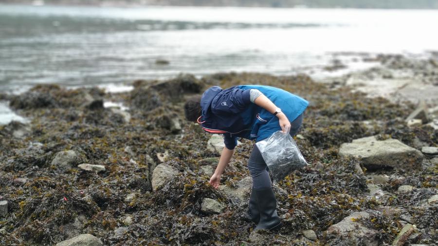 Traballo de campo desenvolvido por Rita García Seoane
