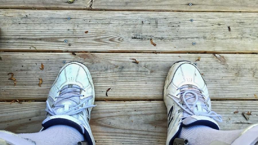 O informe salienta que esta iniciativa da USC promove a participación e implicación no programa de diferentes axentes tanto públicos como privados. FOTO: Pixabay