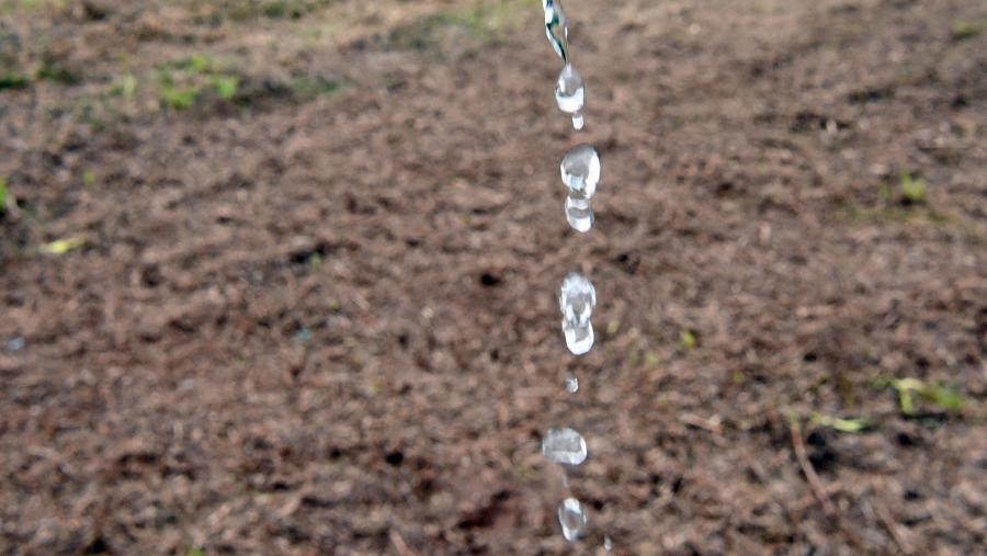 No grupo participan 38 expertos de diferentes disciplinas. FOTO: Santi Alvite