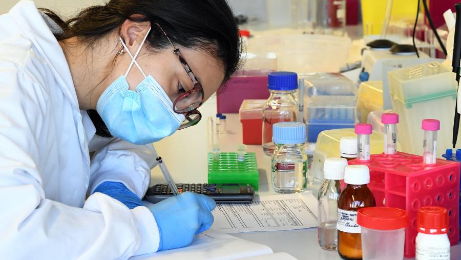 Imaxe de arquivo do laboratorio de María José Alonso na USC. FOTO: Santi Alvite