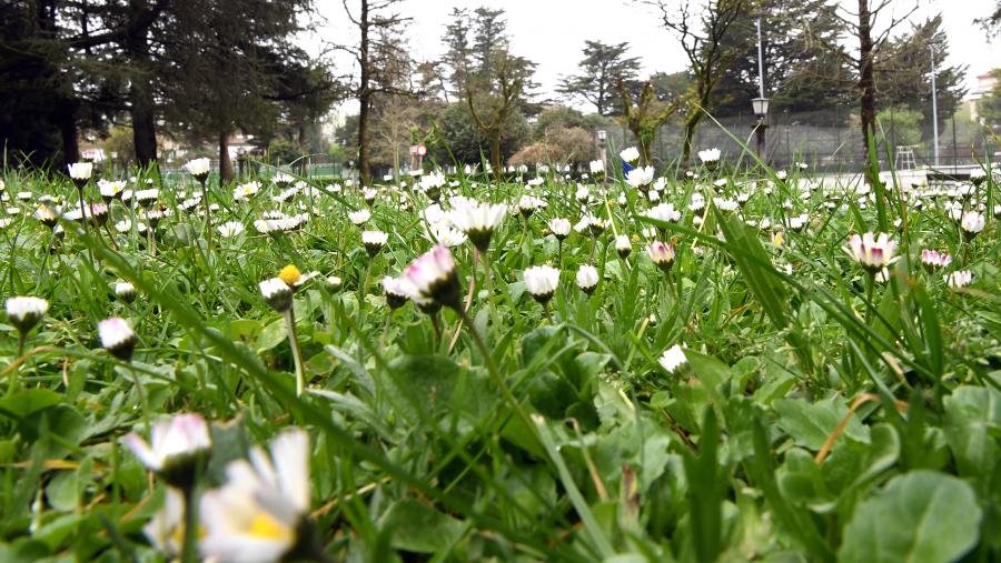 Para atopar un mes de maio en Santiago con máis de catro días por enriba dos 30 graos, hai que remontarse ao ano 1991. FOTO: Santi Alvite