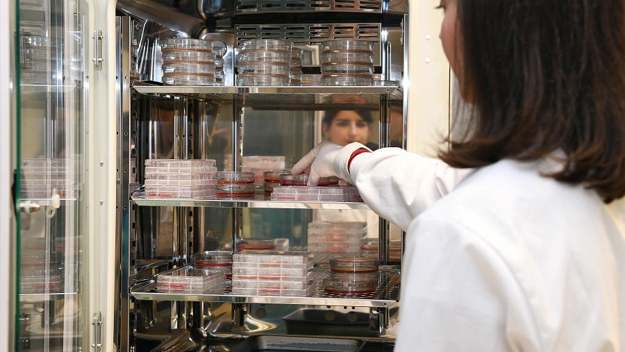 Unha investigadora nun laboratorio da USC Unha investigadora nun laboratorio da USC