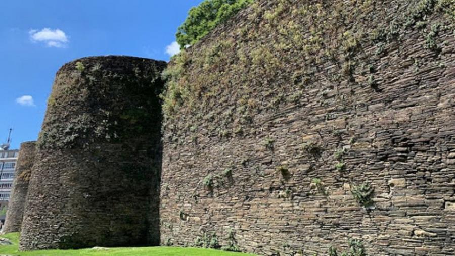 Vexetación na muralla romana de Lugo