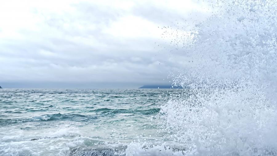 A cada un dos proxectos recomendaráselles os programas de apoio ao emprendemento da Eurorrexión que mellor se adapten ás súas necesidades. FOTO: Santi Alvite