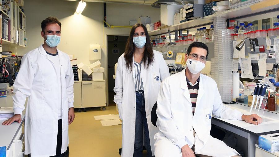 O estudo está liderado polo laboratorio de metabolismo molecular de Ruben Nogueiras. FOTO: Santi Alvite