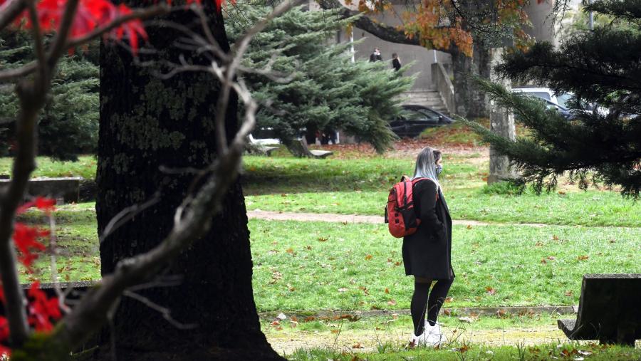 WISE desenvolverase en liña ata o vindeiro 6 de novembro. FOTO: Santi Alvite