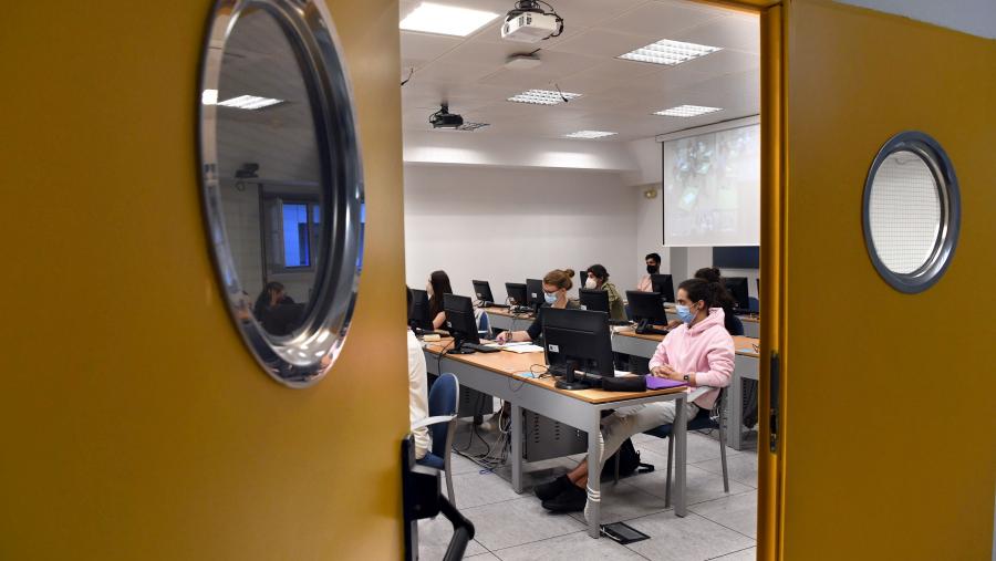 Ao longo das diferentes convocatorias, teñen participado no Proxecto Mentoring USC, máis de 500 alumnos e alumnas. FOTO: Santi Alvite