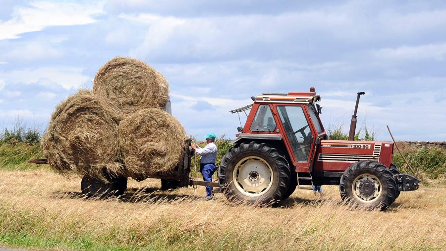 A finalidade do certame é premiar aqueles traballos que favorezan o mellor coñecemento da realidade económica e social galega. FOTO: Santi Alvite