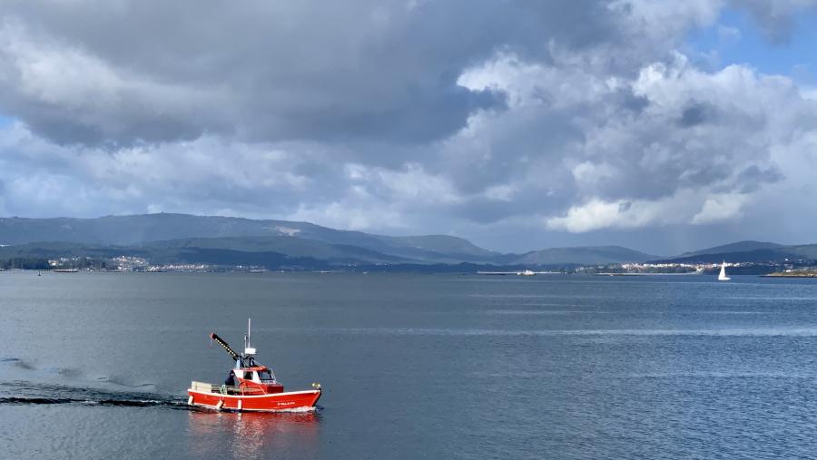 A través deste proxecto preténdense adecuar as medidas de protección, xestión e conservación destas especies