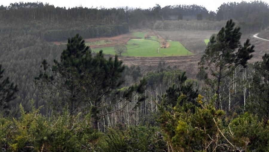 Unha paisaxe do territorio galego. Foto: Santi Alvite Unha paisaxe do territorio galego. Foto: Santi Alvite