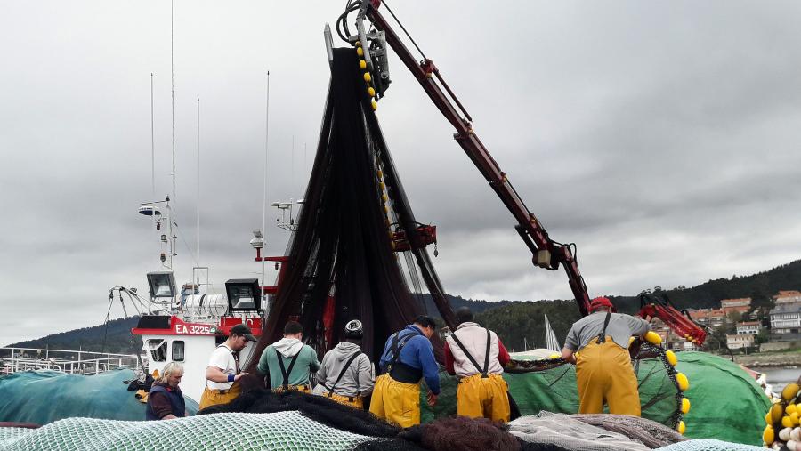Esta nova ferramenta simula diferentes escenarios de xestión e distintas medidas que os pescadores poderían adoptar fronte á obrigación de desembarco imposta á frota europea. FOTO: Santi Alvite