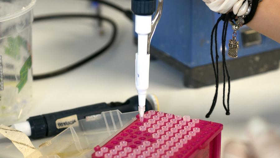 Imaxe de arquivo dun laboratorio do CiQUS. FOTO: Santi Alvite