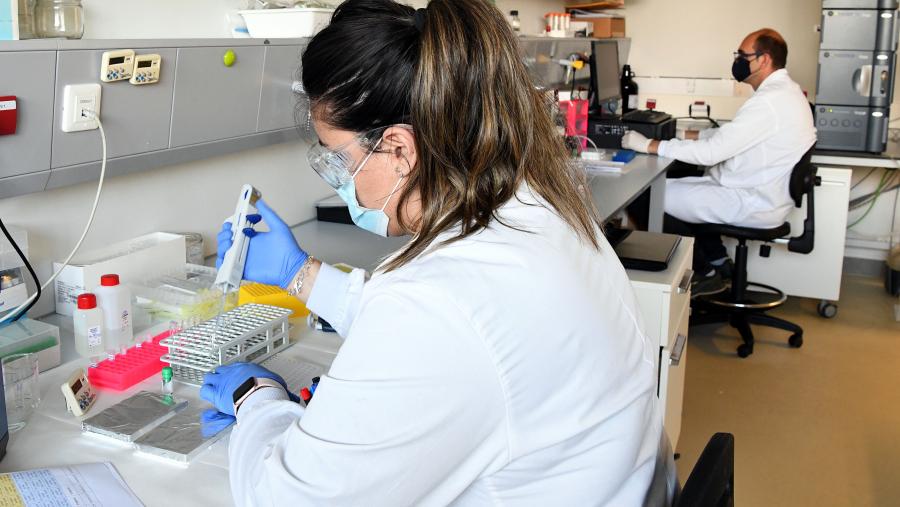 Iniciativas como I2D2 (Incubation Innovation in Drug Discovery) ou Cancro Innova son dous dos exemplos máis significativos do éxito deste modelo de colaboración en innovación aberta. FOTO: Santi Alvite