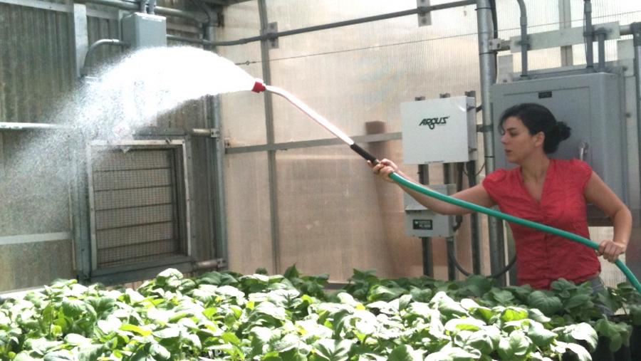 A doutora Sobral destaca igualmente a transmisión xenética destes cambios xa que, como explica, serían herdados directamente polos fillos dos ravos atacados polas eirugas