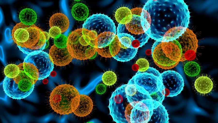 Celtarys  Research deseña e produce ferramentas químicas fluorescentes, sensibles e específicas, mediante unha tecnoloxía respectuosa co medio ambiente que permite  substituír o uso da radioactividade