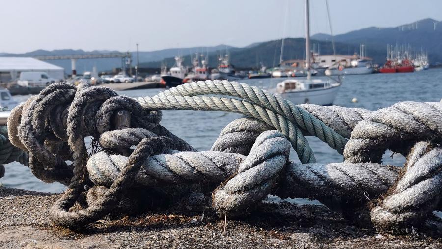 Segundo explica o profesor Villasante, a retirada das “malas” subvencións pode axudar a recuperar a biomasa dos recursos pesqueiros