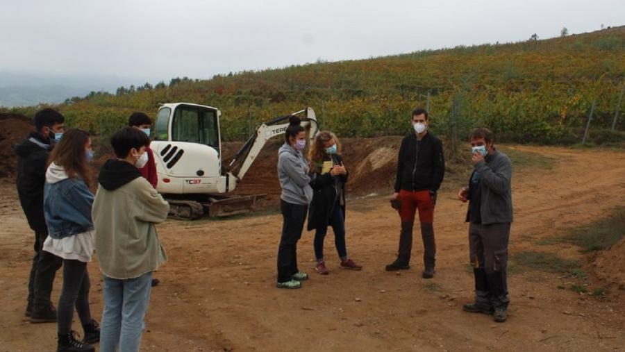 Visita de alumnado da EPS de Enxeñaría a explotacións vitivinícolas do Ribeiro Visita de alumnado da EPS de Enxeñaría a explotacións vitivinícolas do Ribeiro