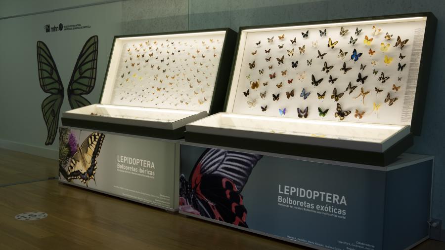 Mostra 'Bolboretas do mundo' no MHN Mostra 'Bolboretas do mundo' no MHN