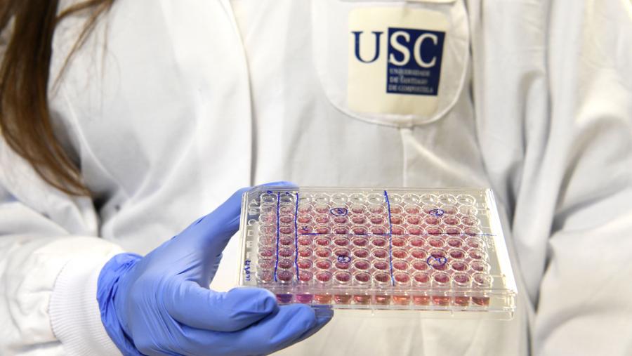 Esta é a cuarta versión que se publica desta base de datos integrada por preto de 200.000 científicos e científicas. FOTO: Santi Alvite