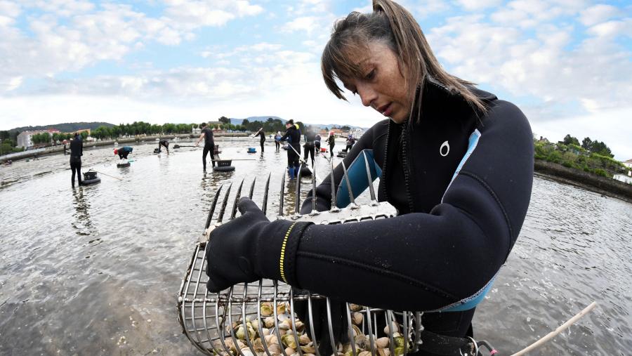 O ForoAcui é un evento organizado pola Asociación Foro dos Recursos Mariños e da Acuicultura das Rías Galegas. Imaxe de arquivo de mariscadoras. FOTO: Santi Alvite