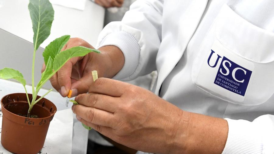 Esta aceleradora busca impulsar e consolidar aqueles proxectos innovadores que dean resposta aos principais retos formulados polas empresas do sector da alimentación. FOTO: Santi Alvite