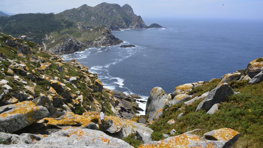 O Índice de Saúde dos Oceános (Ocean Health Index en inglés, OHI+) é unha metodoloxía baseada na análise dos beneficios e servizos que as persoas poden obter dos océanos