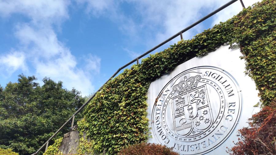Dirixiu 32 teses de doutoramento e participou en 19 proxectos de investigación, alén de ser mestra dun grande número de investigadores e investigadoras. FOTO: Santi Alvite
