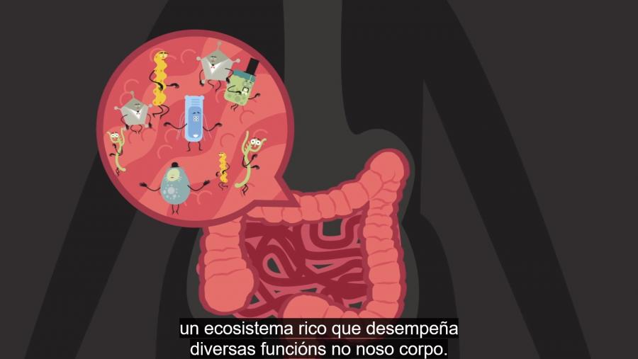 Captura dos subtítulos de Sandra Mariño Cortegoso Captura dos subtítulos de Sandra Mariño Cortegoso