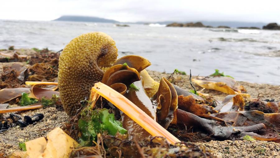 Imaxe de arquivo dunha zona costeira. FOTO: Santi Alvite