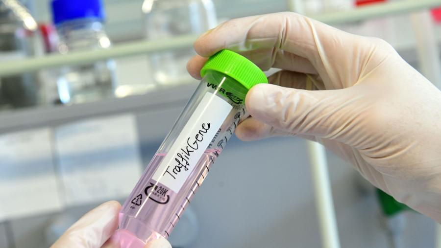 Trátase dunha tecnoloxía versátil que pode adaptarse a todo tipo de ácidos nucleicos. Detalle do laboratorio de Javier Montenegro no CiQUS. FOTO: Santi Alvite