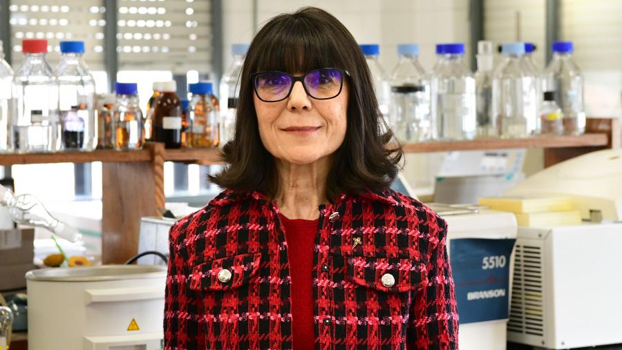 A profesora Laguna Francia é catedrática de Farmacoloxía. FOTO: Santi Alvite