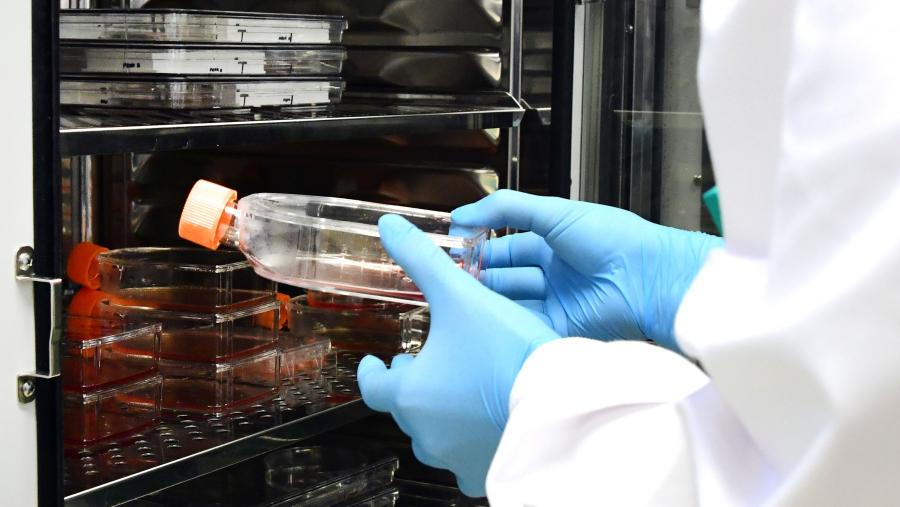 Imaxe de arquivo dun laboratorio da USC. FOTO: Santi Alvite