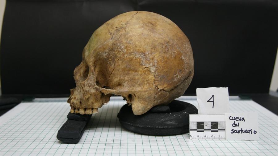 O foro abordará os desafíos desta disciplina que estuda o ser humano de xeito integral. FOTO: Pixabay