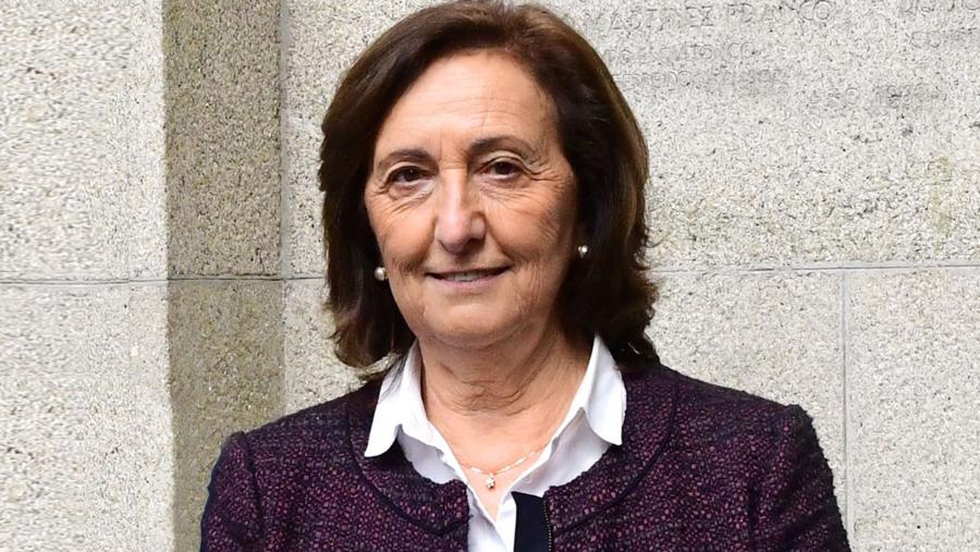 Pilar Bermejo é catedrática de Química Analítica. FOTO: Santi Alvite