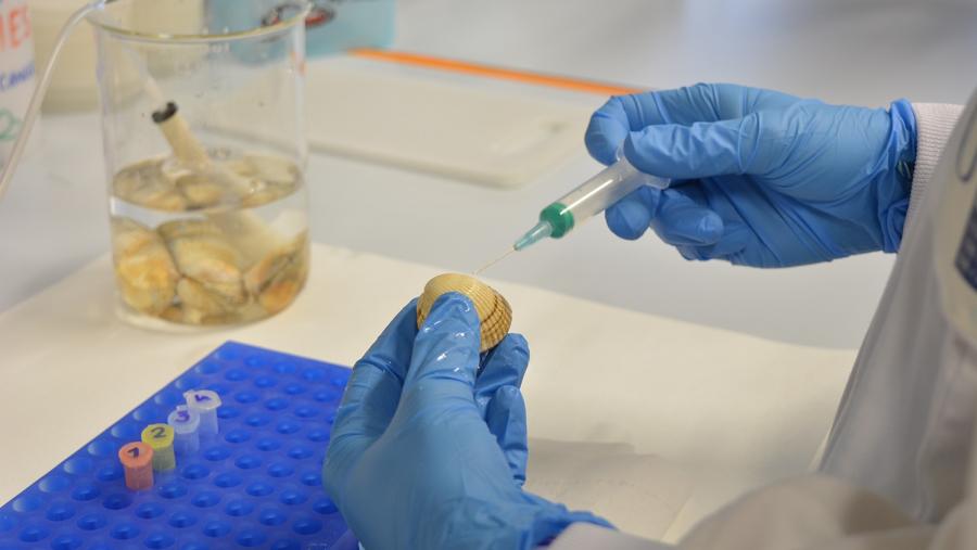 Estes resultados foron xerados no marco do proxecto europeo Scuba Cancers Estes resultados foron xerados no marco do proxecto europeo Scuba Cancers