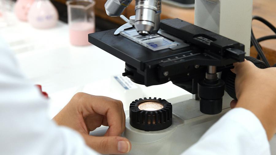 Esta é a sexta versión que se publica desta base de datos na que os científicos/as atópanse clasificados en 22 eidos de 174 subáreas. FOTO: Santi Alvite Esta é a sexta versión que se publica desta base de datos na que os científicos/as atópanse clasificados en 22 eidos de 174 subáreas. FOTO: Santi Alvite