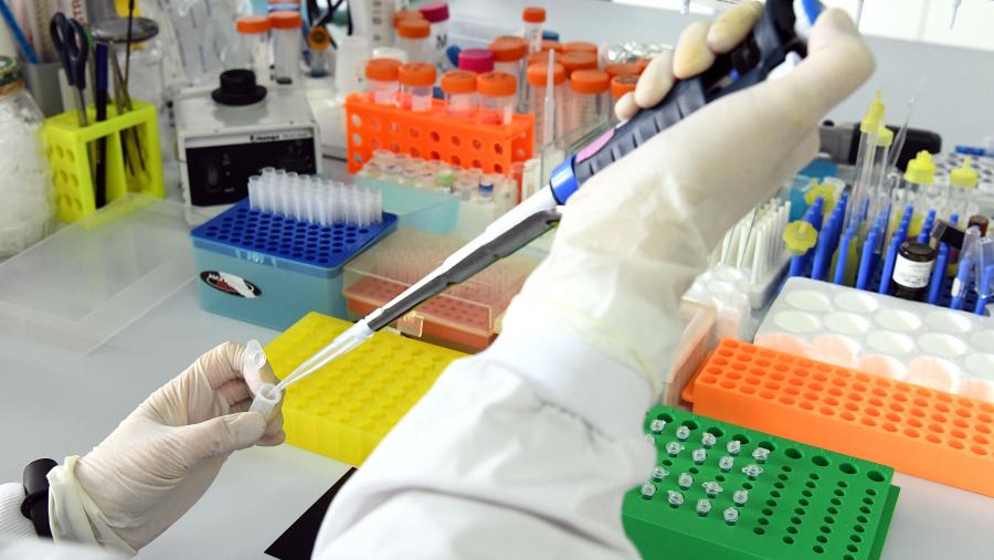 O Acelerador de Transferencia está aberto aos grupos de investigación de todas as áreas de coñecemento que teñan identificado algún resultado de investigación con potencial de transferencia. FOTO: Santi Alvite O Acelerador de Transferencia está aberto aos grupos de investigación de todas as áreas de coñecemento que teñan identificado algún resultado de investigación con potencial de transferencia. FOTO: Santi Alvite