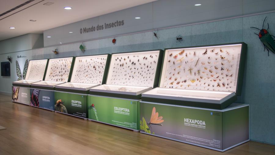 A mostra inclúe unha selección de mil especies representativas de todos os continentes. Foto: MHN A mostra inclúe unha selección de mil especies representativas de todos os continentes. Foto: MHN